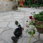 Hotel Doga Pension Side