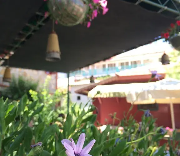 Doga Pension 3* Σιντέ