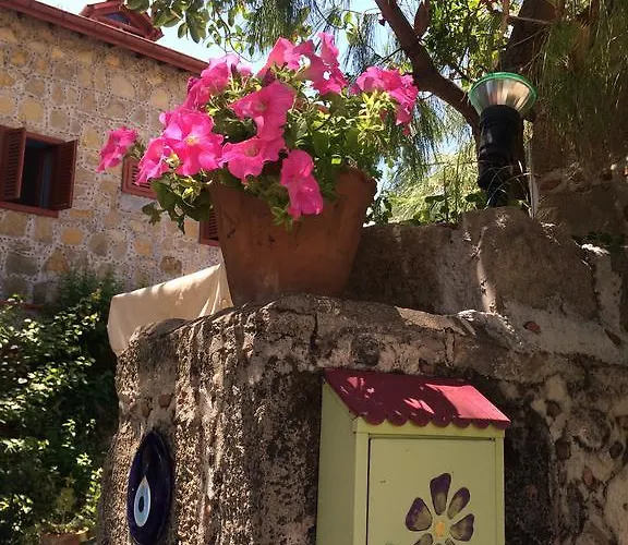 Ξενοδοχείο Doga Pension 3*