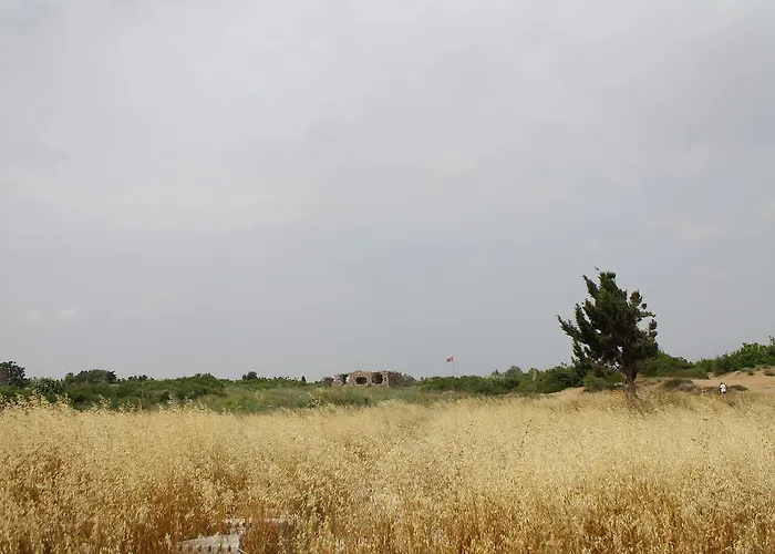 Ξενοδοχείο Doga Pension 3*