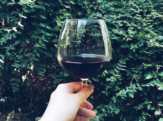 Ξενοδοχείο Doga Pension 3*