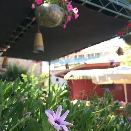 赛德多加旅馆 * 锡德