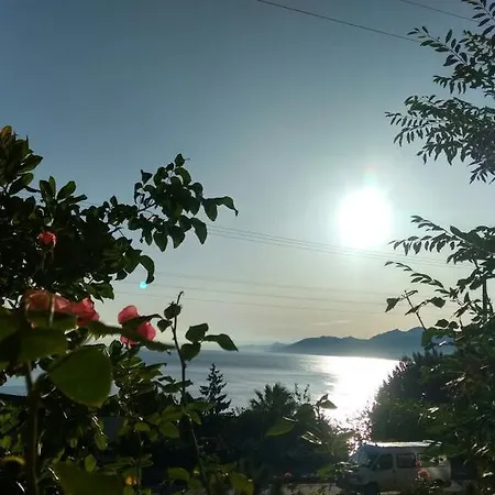 赛德多加旅馆