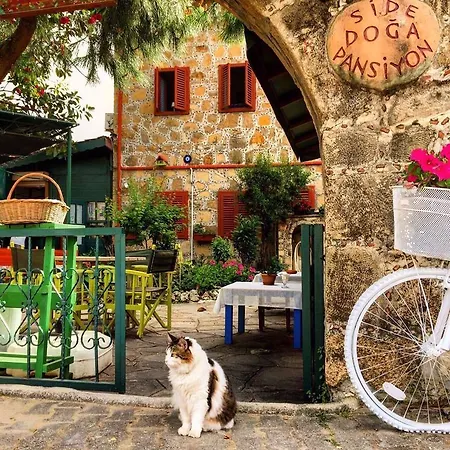 Doga Pension מלון