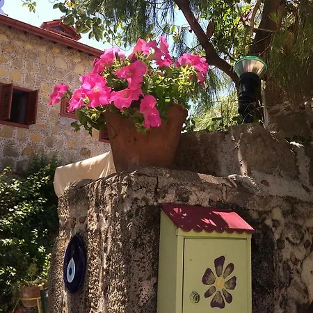 מלון Doga Pension 3*