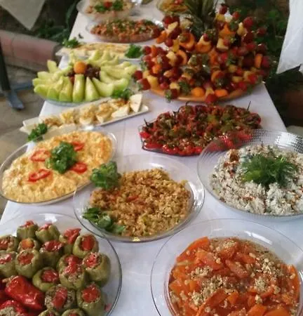 Doga Pension מלון 3*