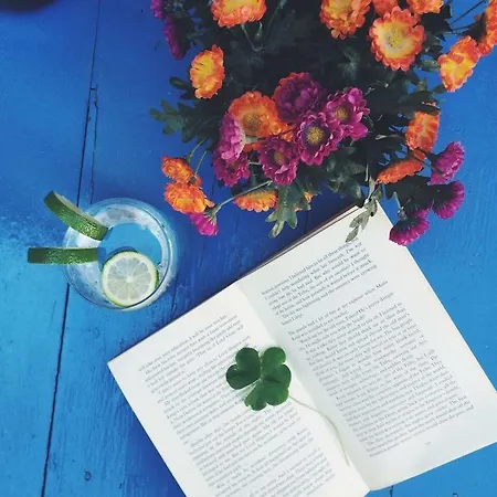 Doga Pension סייד