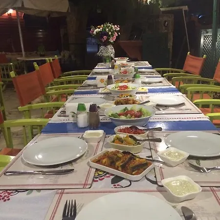 מלון Doga Pension 3*