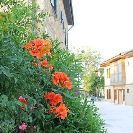 Doga Pension 3* סייד