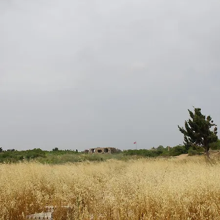 מלון Doga Pension 3*