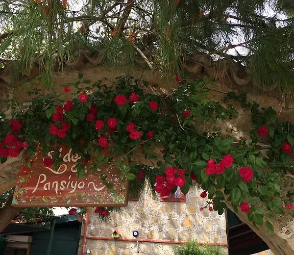 Hotel Doga Pension 3*