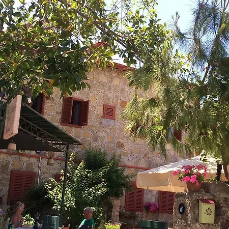 Szálloda Doga Pension