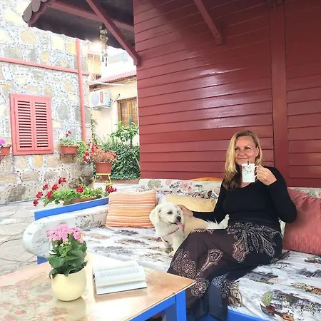 Guest house Doga Pension Side
