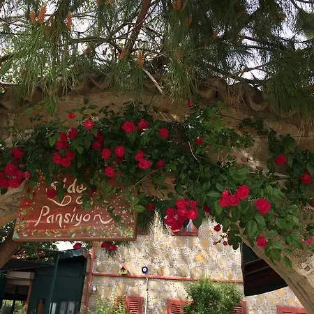 Guest house Doga Pension *