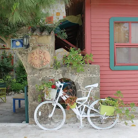 Guest house Doga Pension