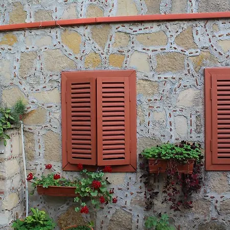 Guest house Doga Pension