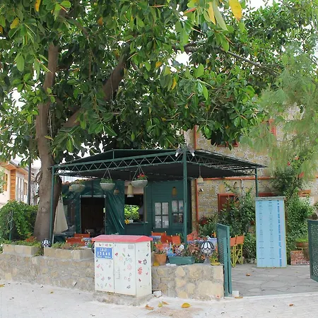 Doga Pension