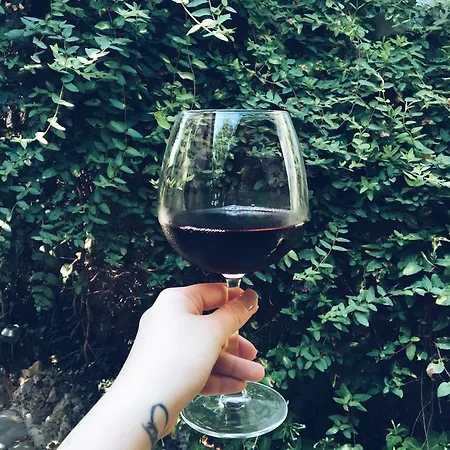 Hotel Doga Pension 3*